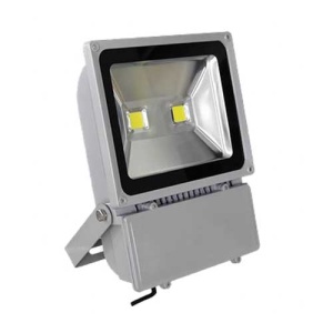 Proyector Ecolux 100W 6400K 7000lm 30Khr gris Globaltronics